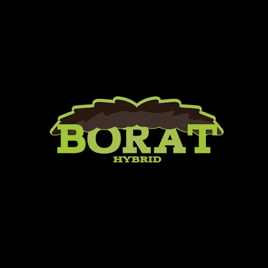 Green Dynasty - Green Dynasty | Borat | Smalls | 3.5g - 1