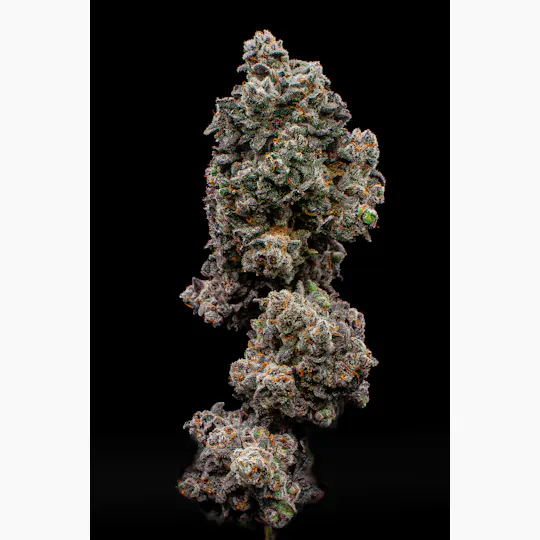 Green Dynasty - Green Dynasty | Splash | Joint | 1g - 1