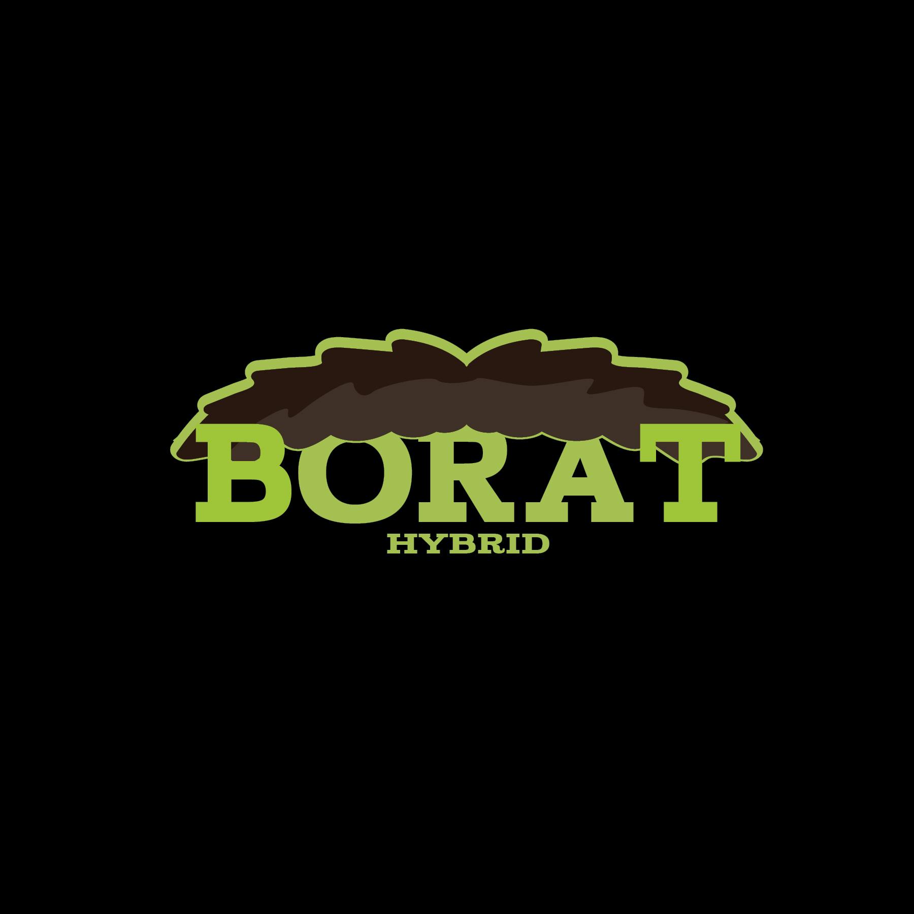 Green Dynasty - Green Dynasty | Borat | Cured Big Buds | 3.5g - 1