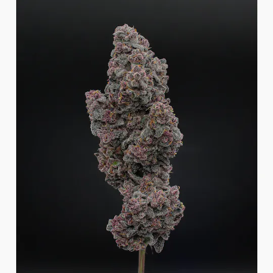 Green Dynasty - Green Dynasty | The One | Joint | 1g - 1