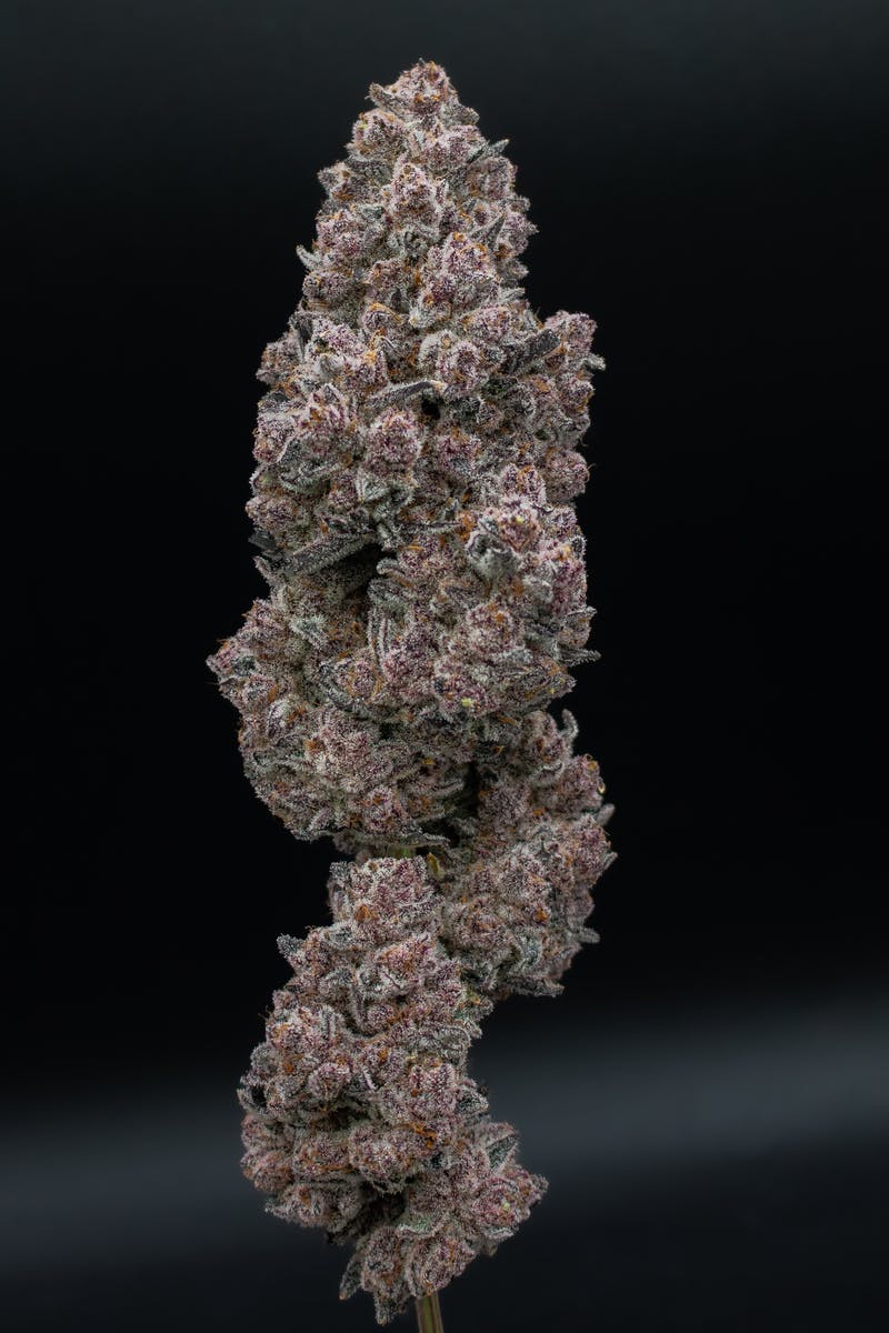 Green Dynasty - Green Dynasty | Sub Zero | Joints | 1g each | 10pk - 1