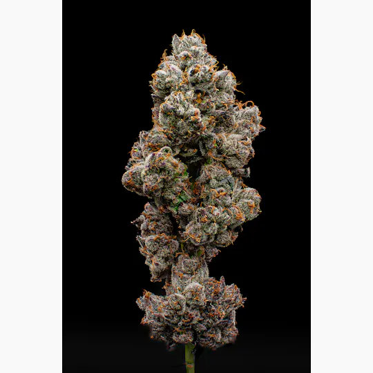 Green Dynasty - Green Dynasty | Tea Time | Joint | 1g - 1