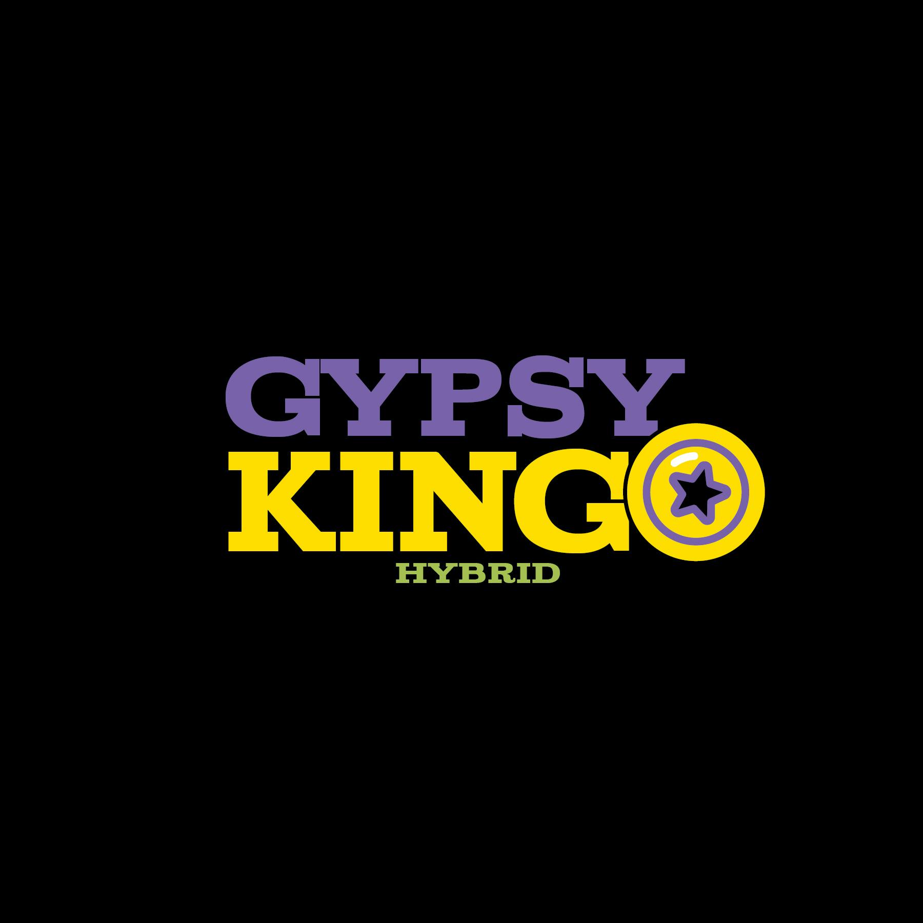 Green Dynasty - Green Dynasty | Gypsy King | Infused Joints | 0.5g each | 3pk - 1