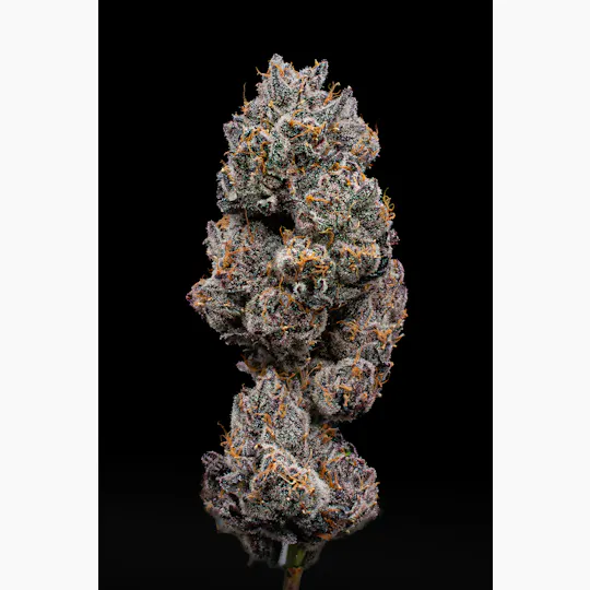 Green Dynasty - Green Dynasty | Lemon Cherry Delight | Infused Joint | 1g - 1