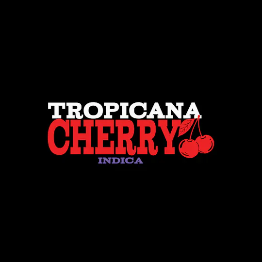 Green Dynasty - Green Dynasty | Tropicana Cherry | Fresh Big Buds | 3.5g - 1