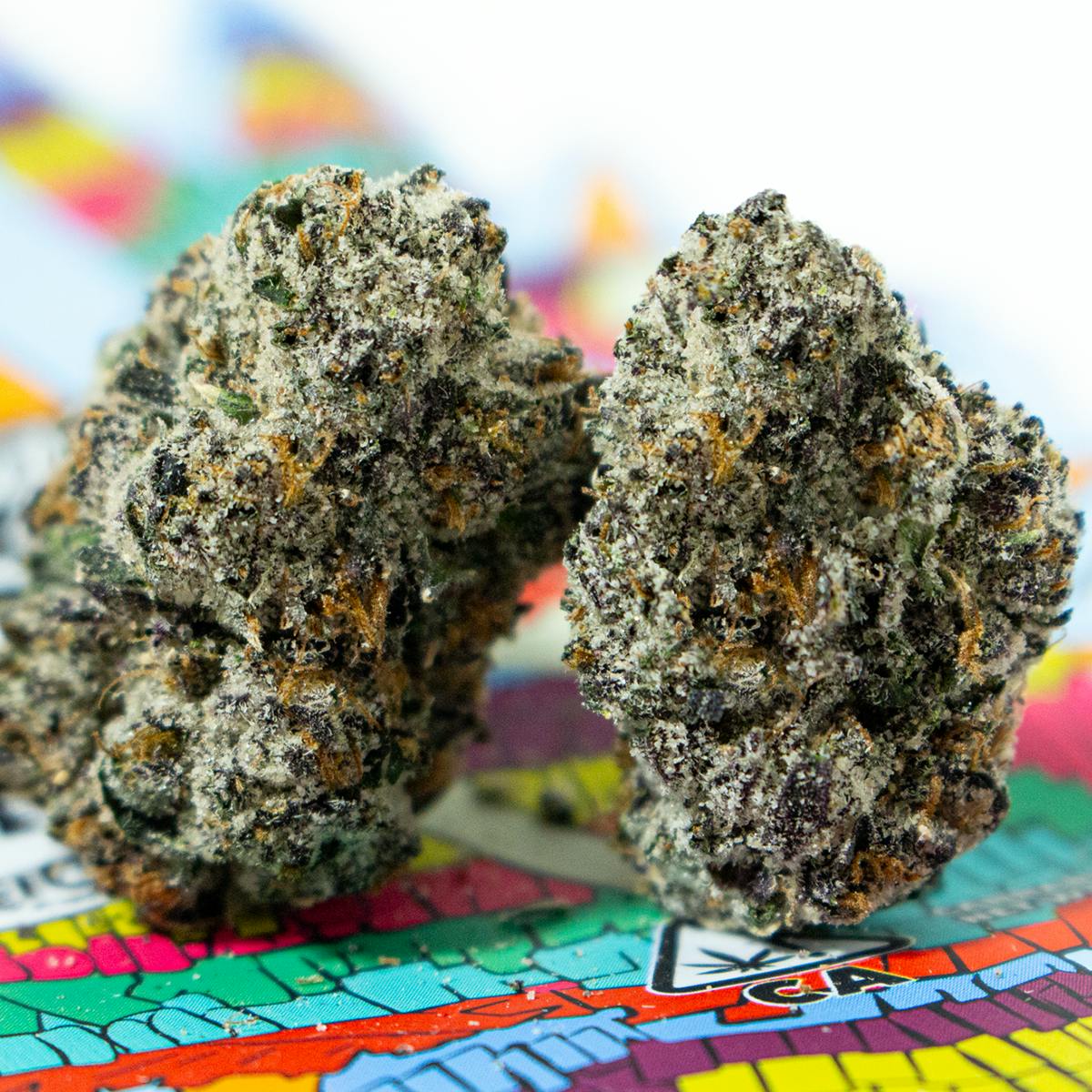 TEDS BUDZ - Magic Confetti - 1