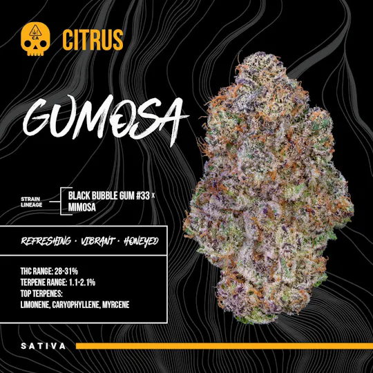 Bosky Genetics - BOSKY | Gumosa | Bones Citrus Blunt | 1.5g - 1