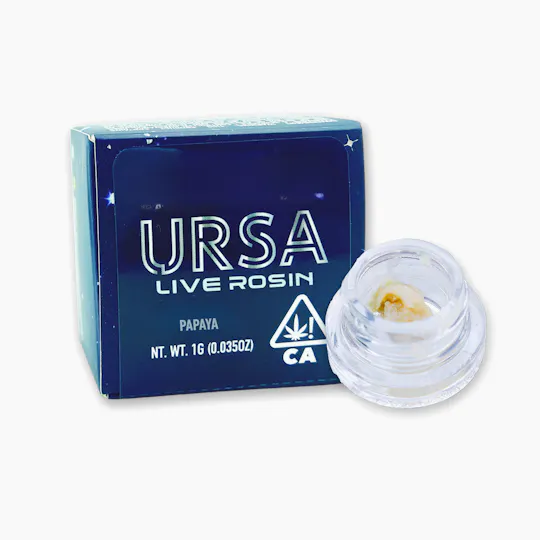 URSA Extracts - Papaya 1g URSA Cold Cure Live Rosin - 1