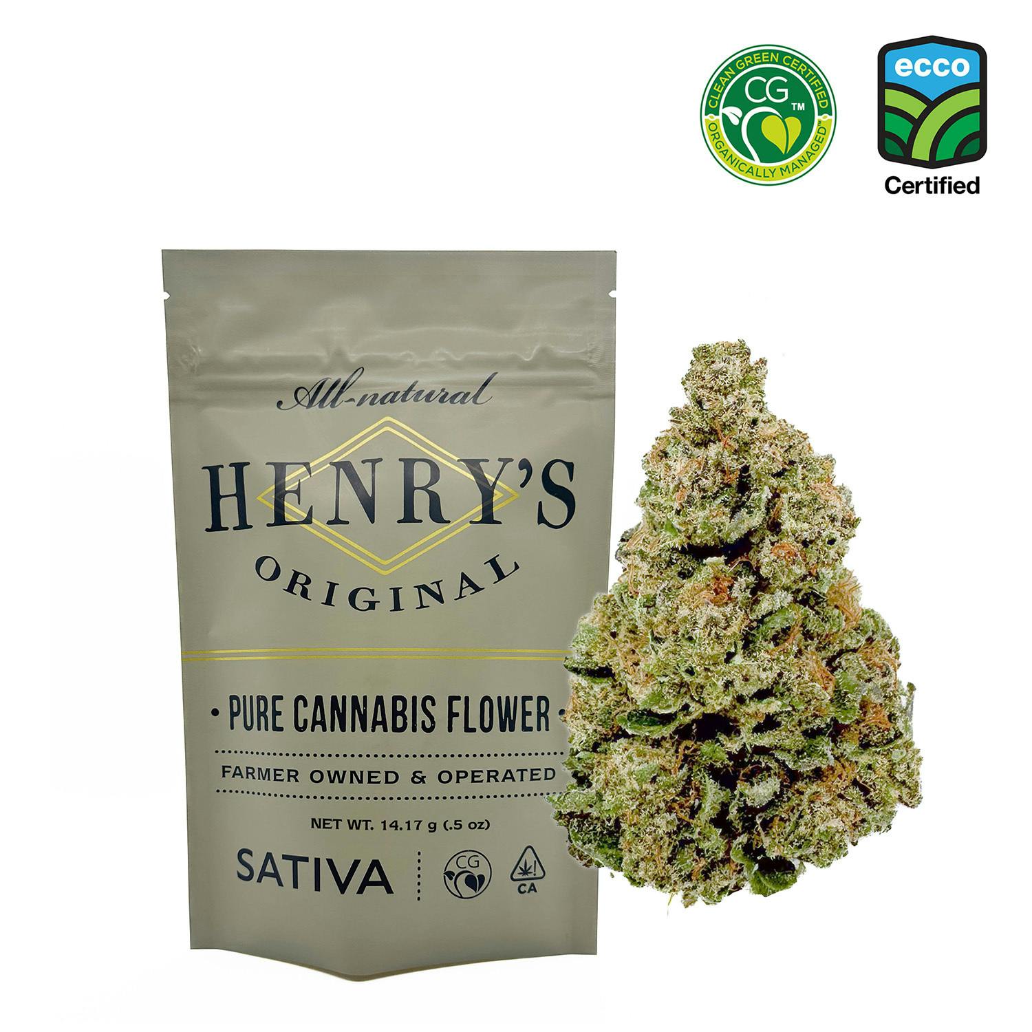 Henry's Original - Henry's Original | Pineapple Jack | Pouch Big Buds | 14g - 1