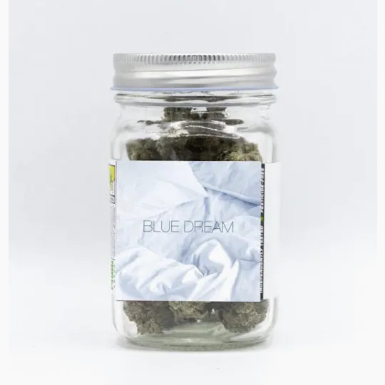 Phat Panda - Phat Panda Platinum | Blue Dream | Big Buds | 14g - 1