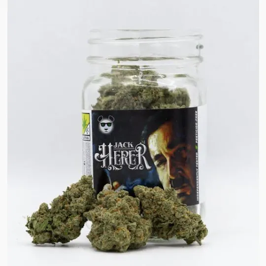 Phat Panda - Jack Herer | Big Buds | 14g - 1
