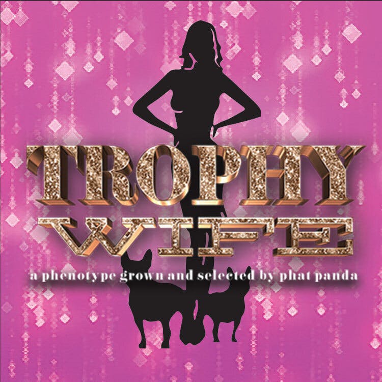 Phat Panda - Phat Panda | Trophy Wife | Big Buds | 28g - 1