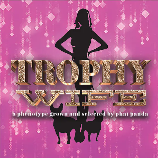 Phat Panda - Phat Panda | Trophy Wife | Big Buds | 14g - 1