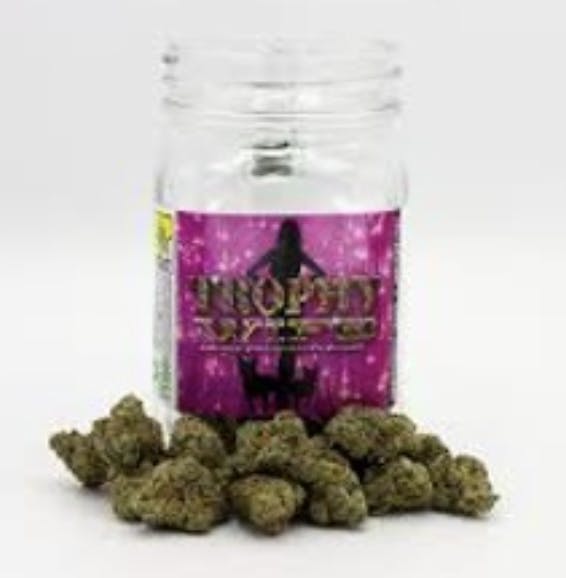 Phat Panda - Platinum | Trophy Wife | Big Buds | 14g - 1