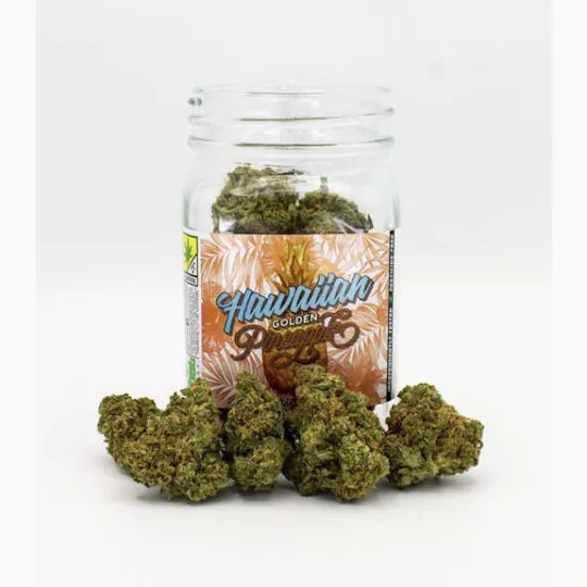 Phat Panda - Hawaiian Golden Pineapple | Big Buds | 14g - 1