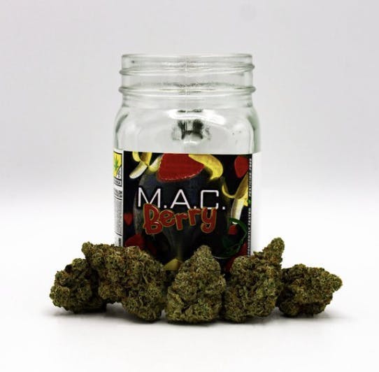 Phat Panda - MAC Berry | Big Buds | 7g - 1