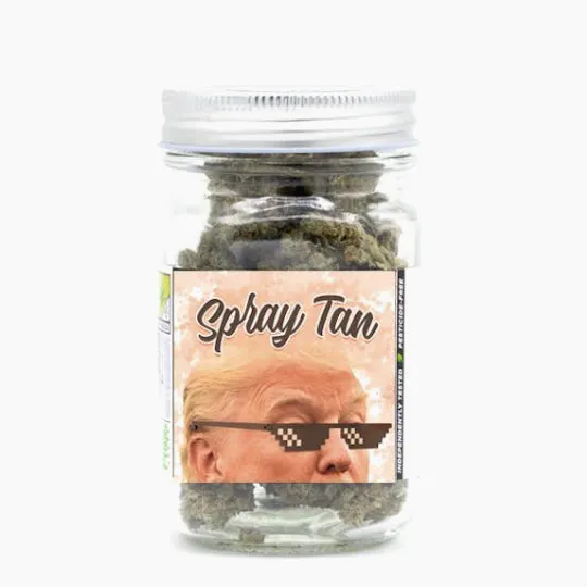 Phat Panda - Platinum | Spray Tan | Big Buds | 14g - 1