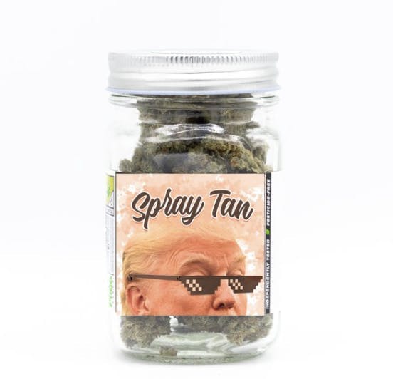 Phat Panda - Platinum | Spray Tan | Big Buds | 28g - 1