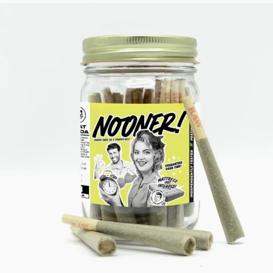 Phat Panda - Phat Panda | Nooner | Joints | 1g each | 28pk - 1