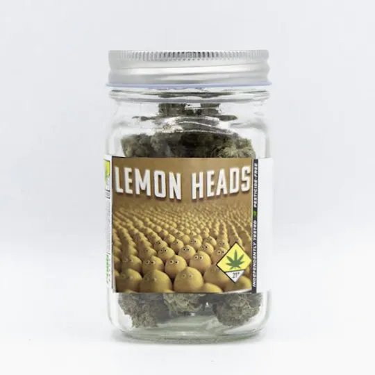 Phat Panda - Phat Panda | Lemon Heads | Big Buds | 3.5g - 1