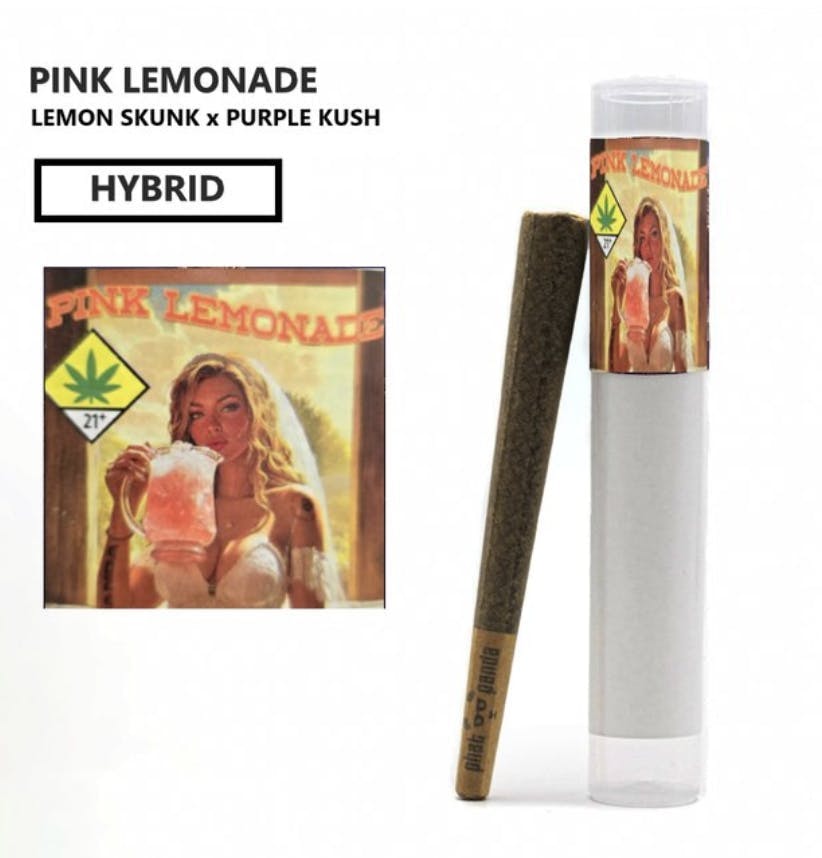 Phat Panda - Phat Panda | Pink Lemonade | Joint | 1g - 1