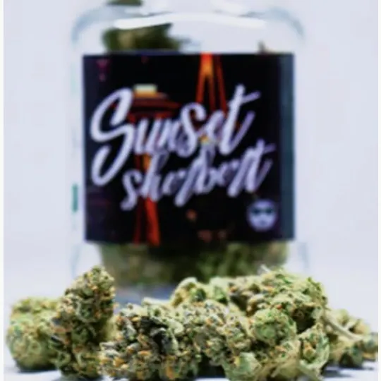 Phat Panda - Phat Panda | Sunset Sherbert | Big Buds | 7g - 1