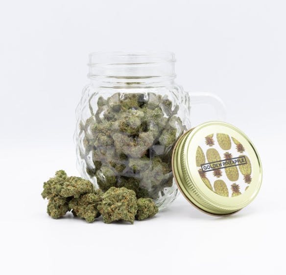 Phat Panda - Phat Panda | Golden Pineapple | Big Buds | 7g - 1