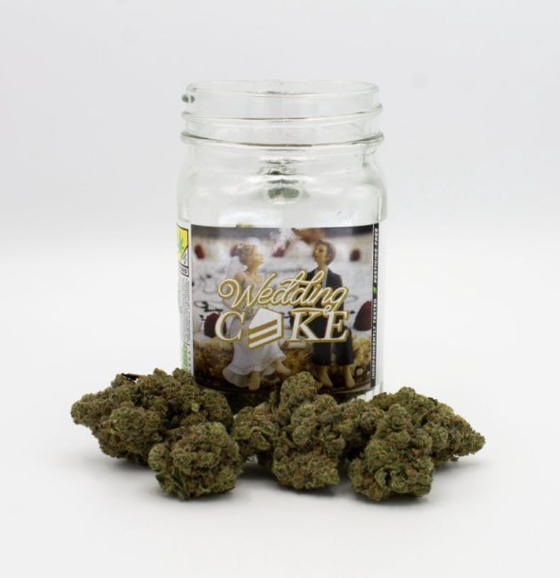 Phat Panda - Platinum | Wedding Cake | Big Buds | 14g - 1
