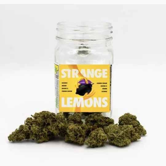 Phat Panda - Phat Panda Platinum | Strange Lemons | Big Buds | 7g - 1