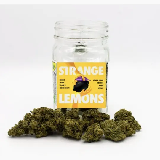 Phat Panda - Platinum | Strange Lemons | Big Buds | 7g - 1