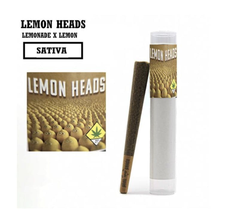 Phat Panda - Phat Panda | Lemon Heads | Joint | 1g - 1