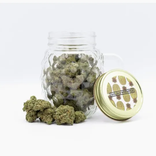Phat Panda - Golden Pineapple | Big Buds | 14g - 1