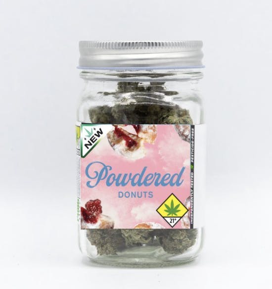 Phat Panda - Phat Panda | Powdered Donut | Big Buds | 3.5g - 1