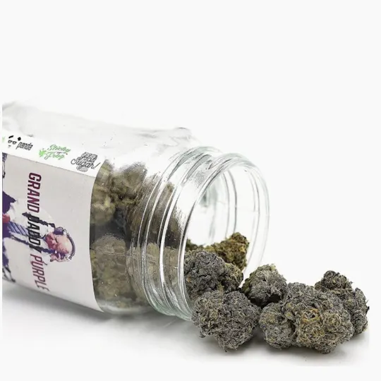 Phat Panda - Platinum | Granddaddy Purple | Big Buds | 7g - 1