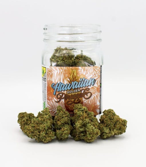 Phat Panda - Phat Panda | Hawaiian Golden Pineapple | Big Buds | 28g - 1