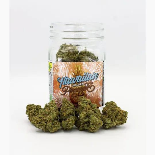 Phat Panda - Phat Panda | Hawaiian Golden Pineapple | Big Buds | 28g - 1