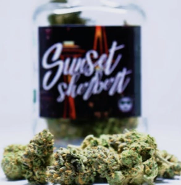 Phat Panda - Sunset Sherbert | Big Buds | 14g - 1