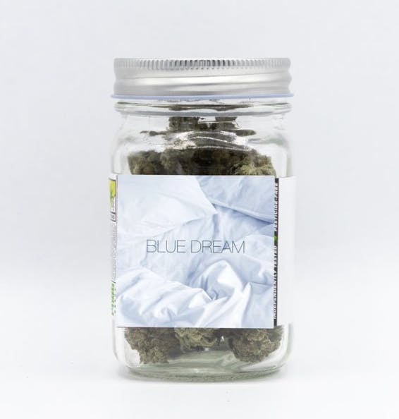 Phat Panda - Platinum | Blue Dream | Big Buds | 3.5g - 1