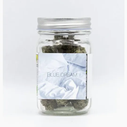 Phat Panda - Platinum | Blue Dream | Big Buds | 3.5g - 1