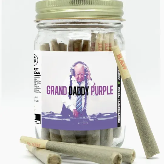 Phat Panda - Phat Panda | Grand Daddy Purple | Joints | 1g each | 28pk - 1