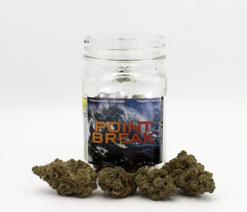 Phat Panda - Platinum | Point Break | Big Buds | 7g - 1