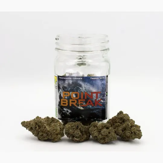Phat Panda - Platinum | Point Break | Big Buds | 7g - 1