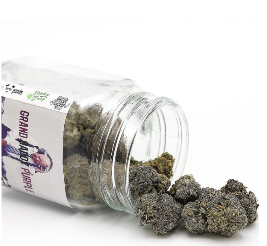 Phat Panda - Phat Panda Platinum | Grand Daddy Purple | Big Buds | 3.5g - 1