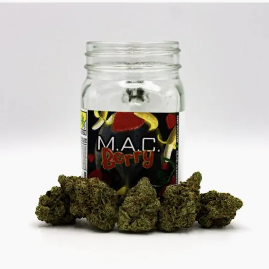Phat Panda - Phat Panda | MAC Berry | Big Buds | 14g - 1