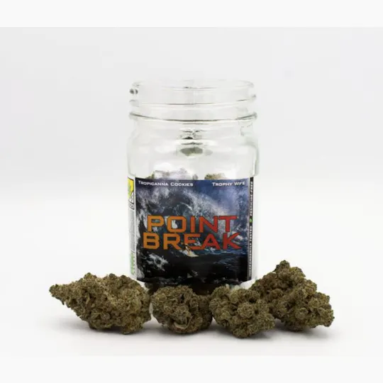 Phat Panda - Phat Panda Platinum | Point Break | Big Buds | 3.5g - 1