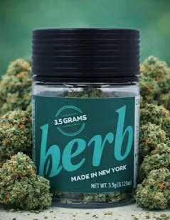 Herb - Herb | Blue Dream | Big Buds | 3.5g - 1
