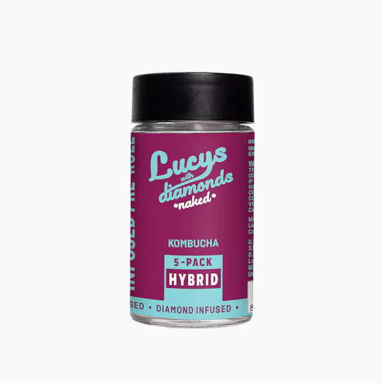 Blotter - Blotter | Kombucha | Naked Infused Minis | 0.5g each | 5pk - 1