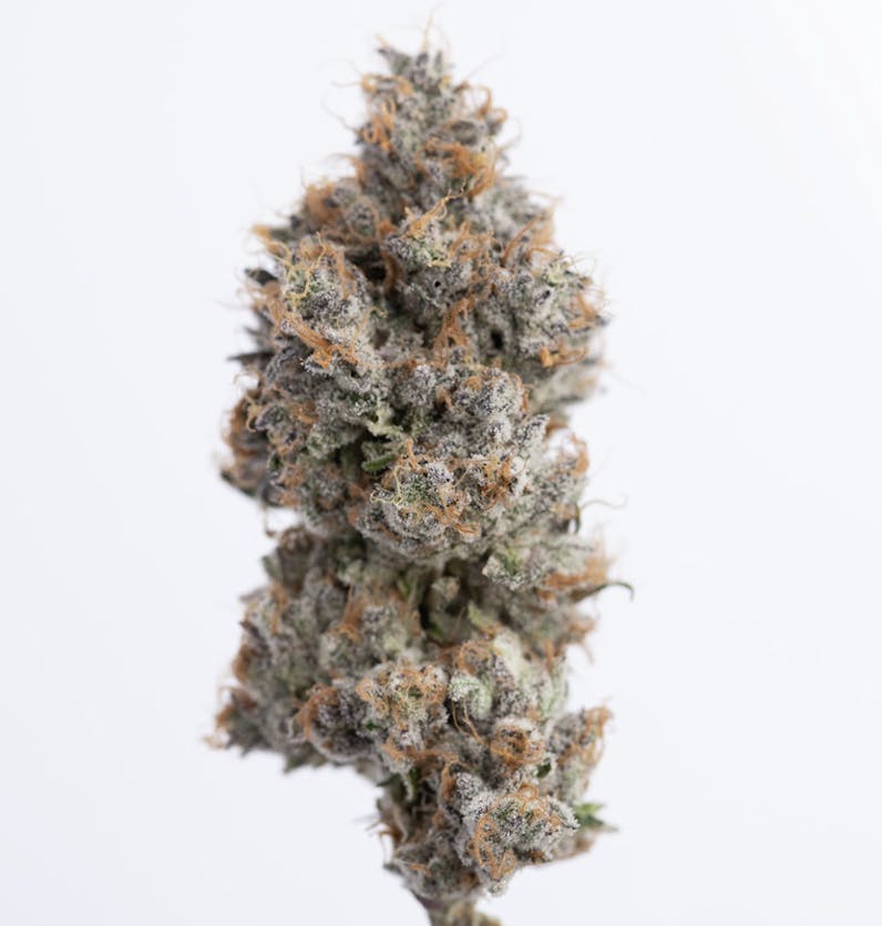 Green Dawg - Orange Mamba | Smalls | 7g - 1