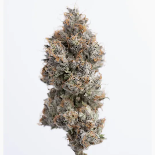 Green Dawg - Orange Mamba | Smalls | 7g - 1