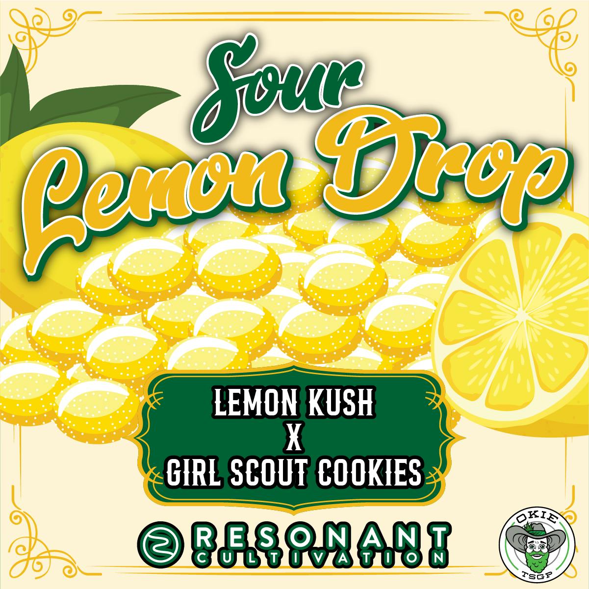 Okie TSGP - Sour Lemon Drop (Resonant) - Live Hash Rosin Batter - 1g - 1